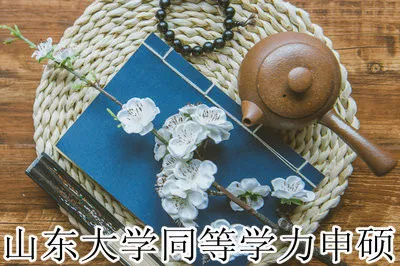 山东大学同等学力申硕是双证吗