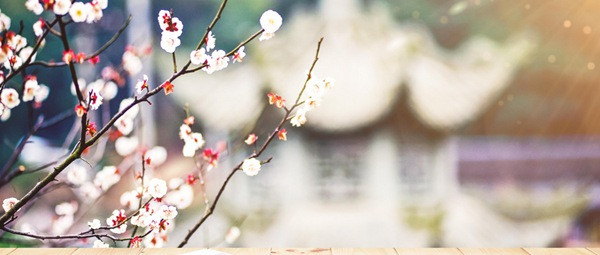 山西財經(jīng)大學(xué)在職研究生所需要用到的費用有哪些？
