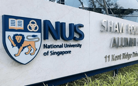 新加坡国立大学EMBA是中文授课的吗？