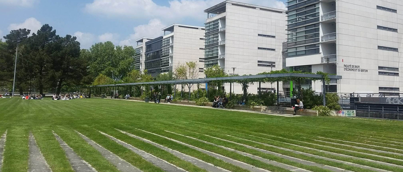 法国昂热大学草坪