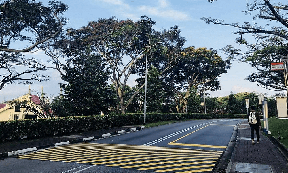 新加坡国立大学校园实景