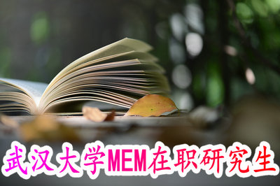 武汉大学MEM在职研究生