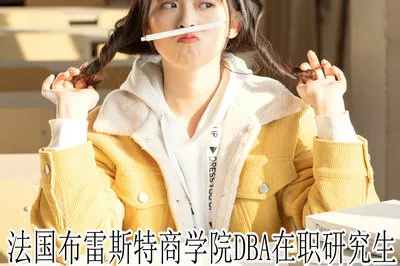 读研方式！法国布雷斯特商学院DBA在职研究生招生类型