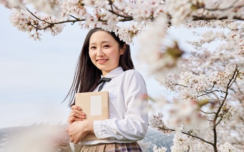 2024年在職研究生報名入口在哪里？