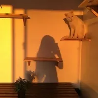 边哭边背