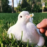 是高洁吖