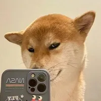 把梦想种进土里