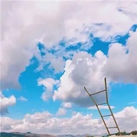减肥戒了等上岸
