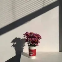 作文高分