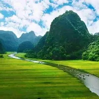 金山茂典