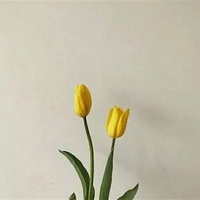 大龄还要卷