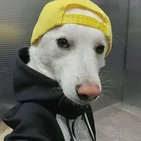 错题本的自我修养