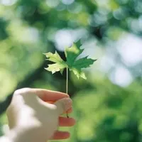 保温杯里的政治