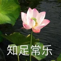 北陆洋辰