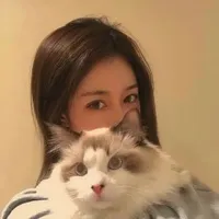 回老家读研
