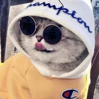 极乐宛丝