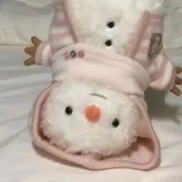 年华似锦