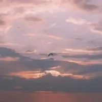 琉璃嫣然