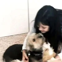 模拟卷的独白