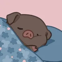 上岸加载完毕