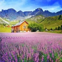梅花赤奋若