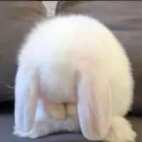 知识点疯狂涌入