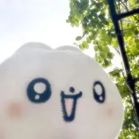 璃人怎挽