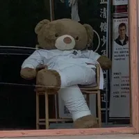 温酒叙余生用户头像