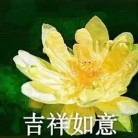犬走辛未