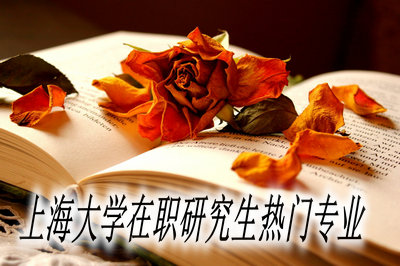 上海大学在职研究生热门专业