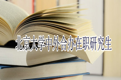 北京大学中外合办在职研究生