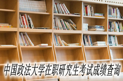 中国政法大学在职研究生考试成绩查询
