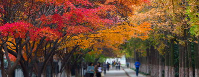 江苏师范大学在职研究生