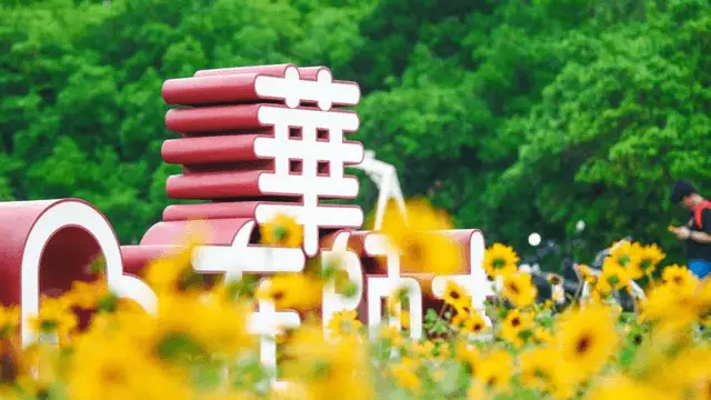 华东师范大学