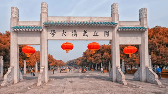 武汉大学