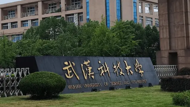 武汉科技大学