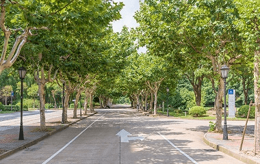 西安外国语大学在职研究生