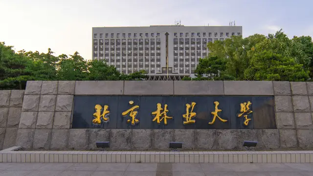 北京林业大学
