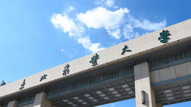 东北农业大学