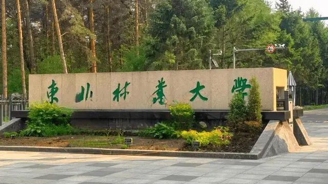 东北林业大学
