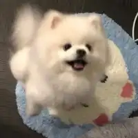 有点慌用户头像