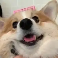 佐藤友用户头像