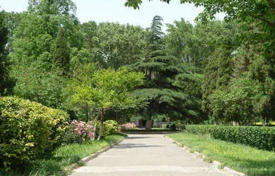 山东大学风景