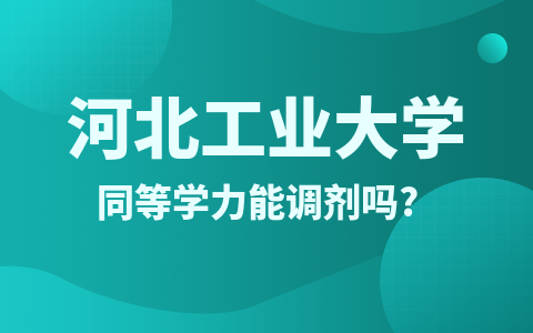 河北工业大学同等学力能调剂吗?