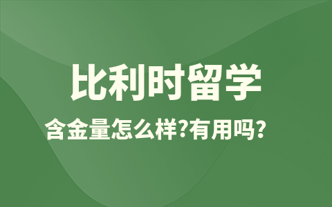 比利时留学硕士含金量怎么样？有用吗？