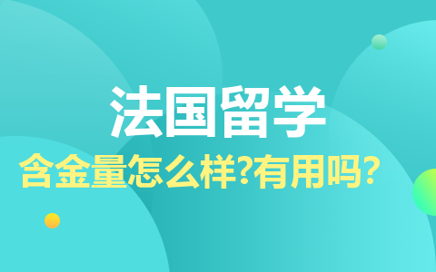 法国留学硕士含金量怎么样？有用吗？