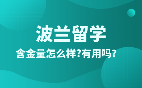 波兰留学硕士含金量怎么样？有用吗？