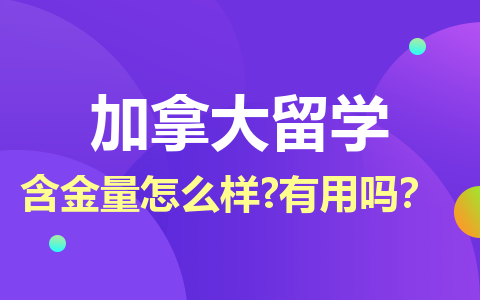 加拿大留学硕士含金量怎么样？有用吗？