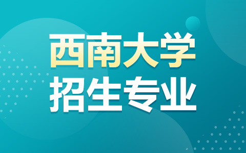 2024年西南大學(xué)非全日制研究生專業(yè)目錄