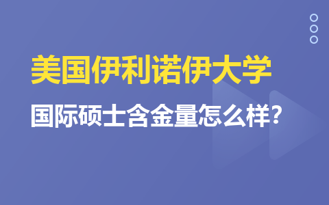 美国伊利诺伊大学国际硕士含金量怎么样？